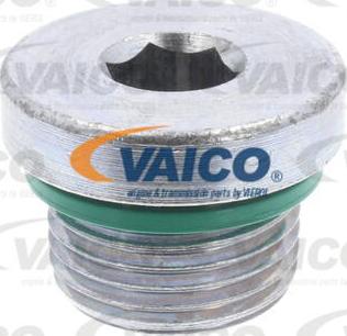 VAICO V10-4946 - Sulgurkruvi, õlivann abeteks.ee